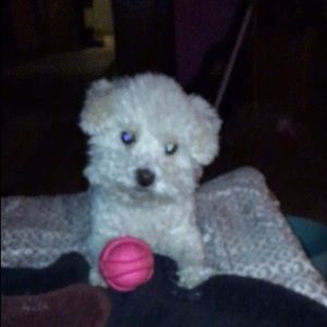 Meet your Posher, Beth